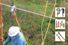 Safety Line Grounding Equipment